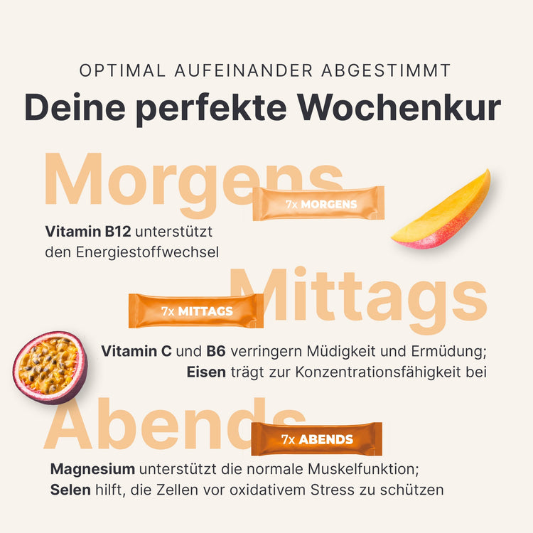 4 Wochen Sommer Starter-Set