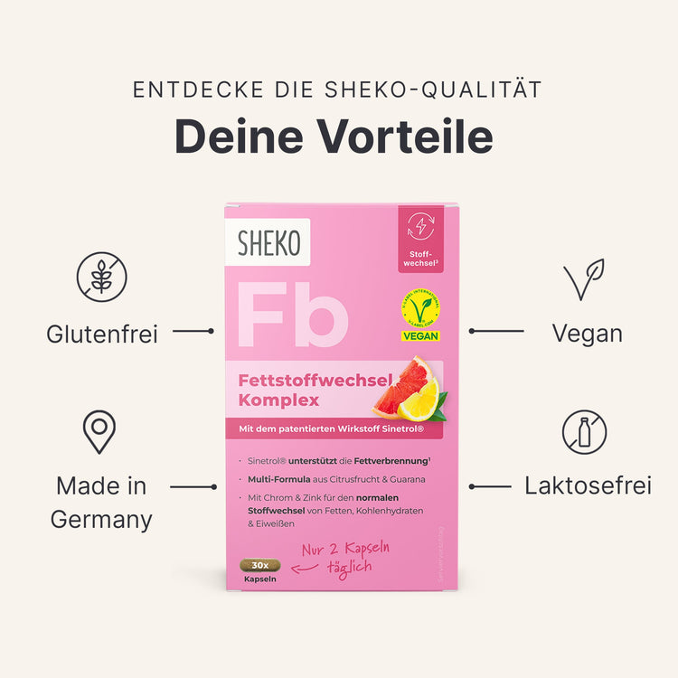 Fettstoffwechsel Komplex