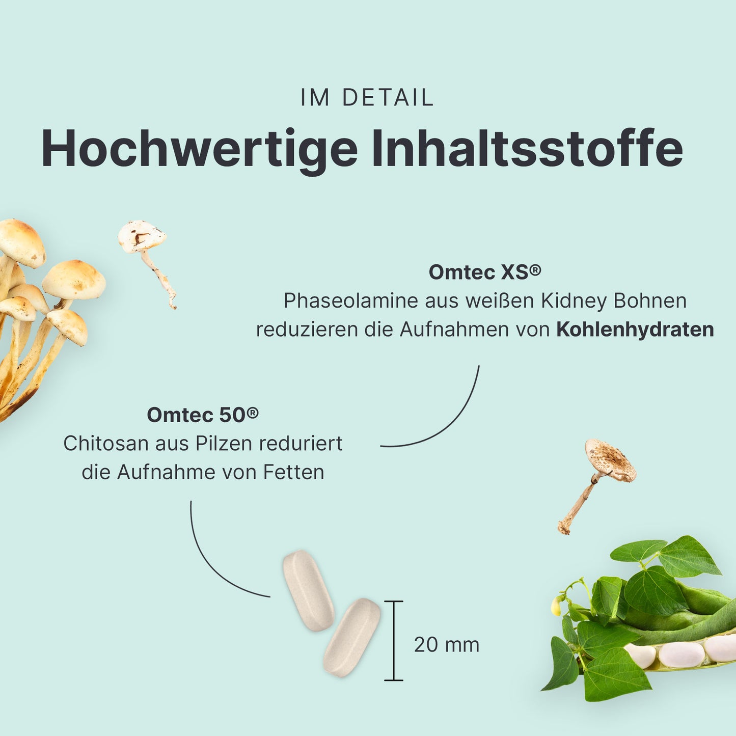 Hochwertige Inhaltsstoffe