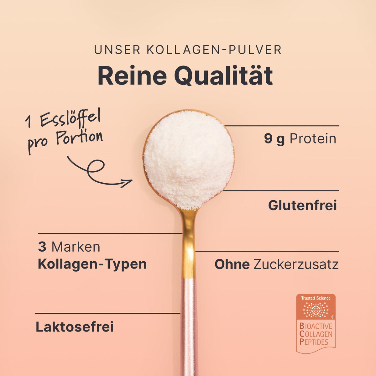 Multi Kollagen Pulver