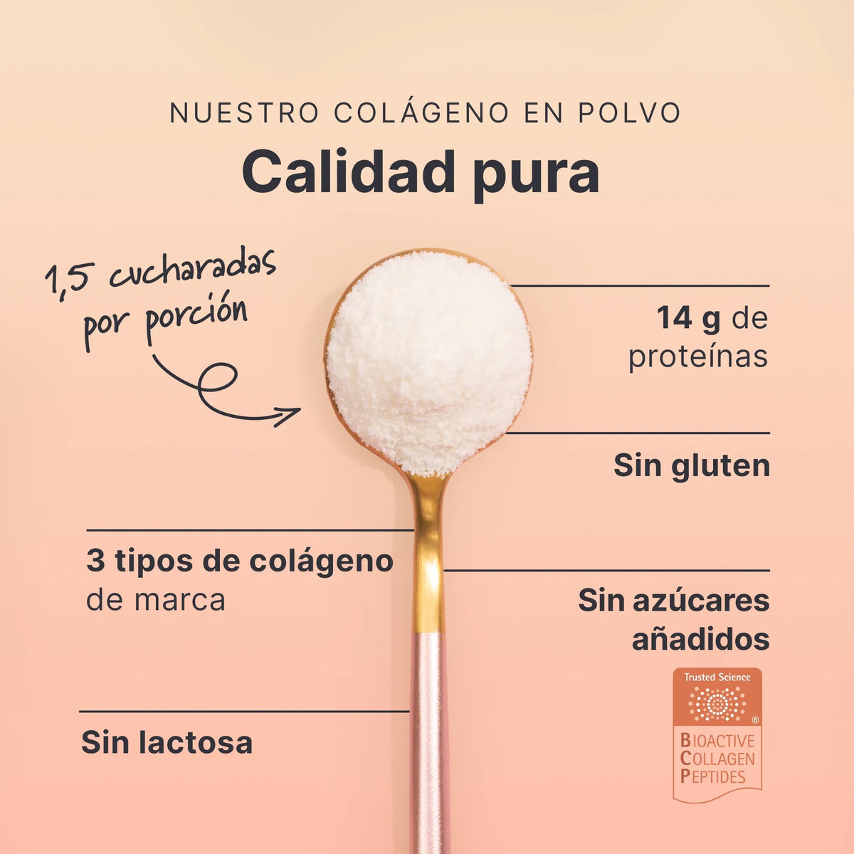 Multi Kollagen Pulver (ES)