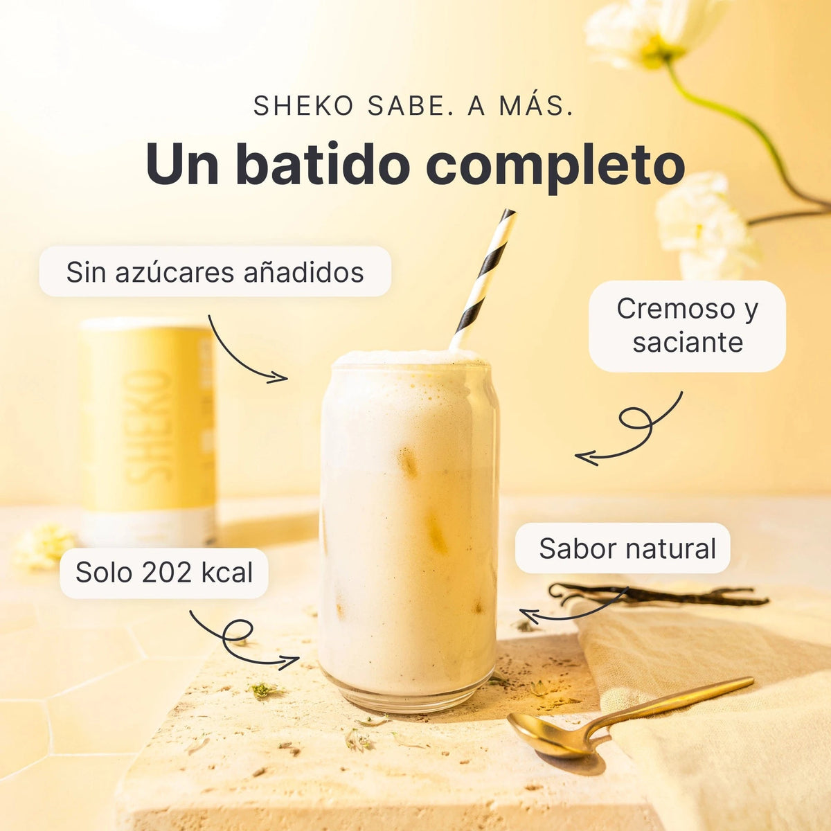SHEKO Balance Shake Vanille (ES)