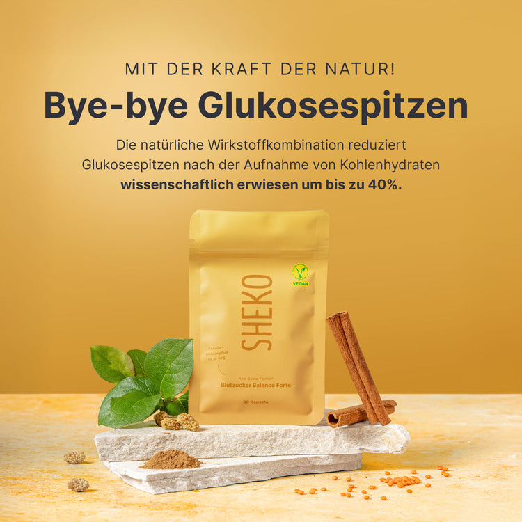 Blutzucker Balance Forte