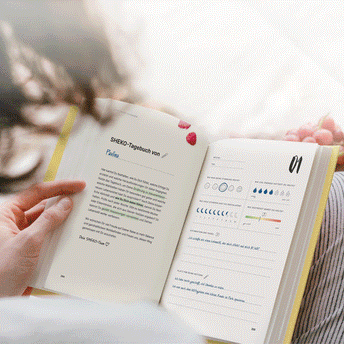 Buch "Das SHEKO Geheimnis" – Seiten durchblättern