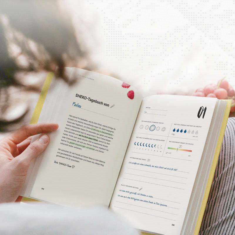 Buch "Das SHEKO Geheimnis" – Seiten durchblättern