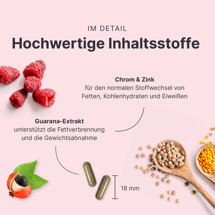 Fettstoffwechsel Komplex