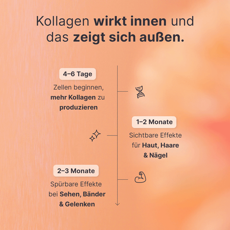 Multi Kollagen Pulver
