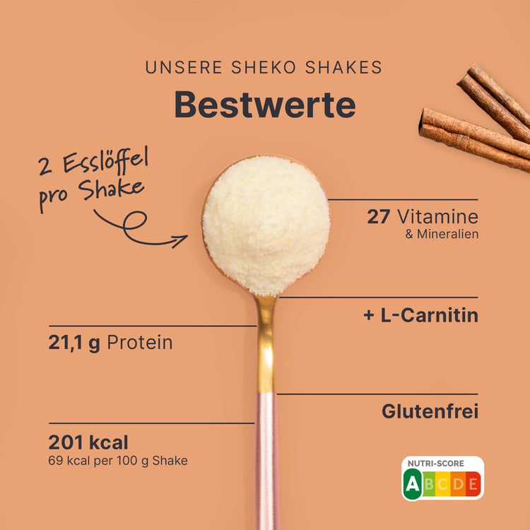 Shakemaaltijd Kaneel (360g)