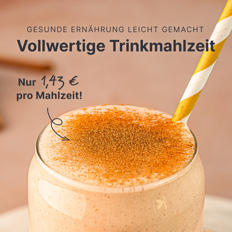 Shakemaaltijd Kaneel (360g)