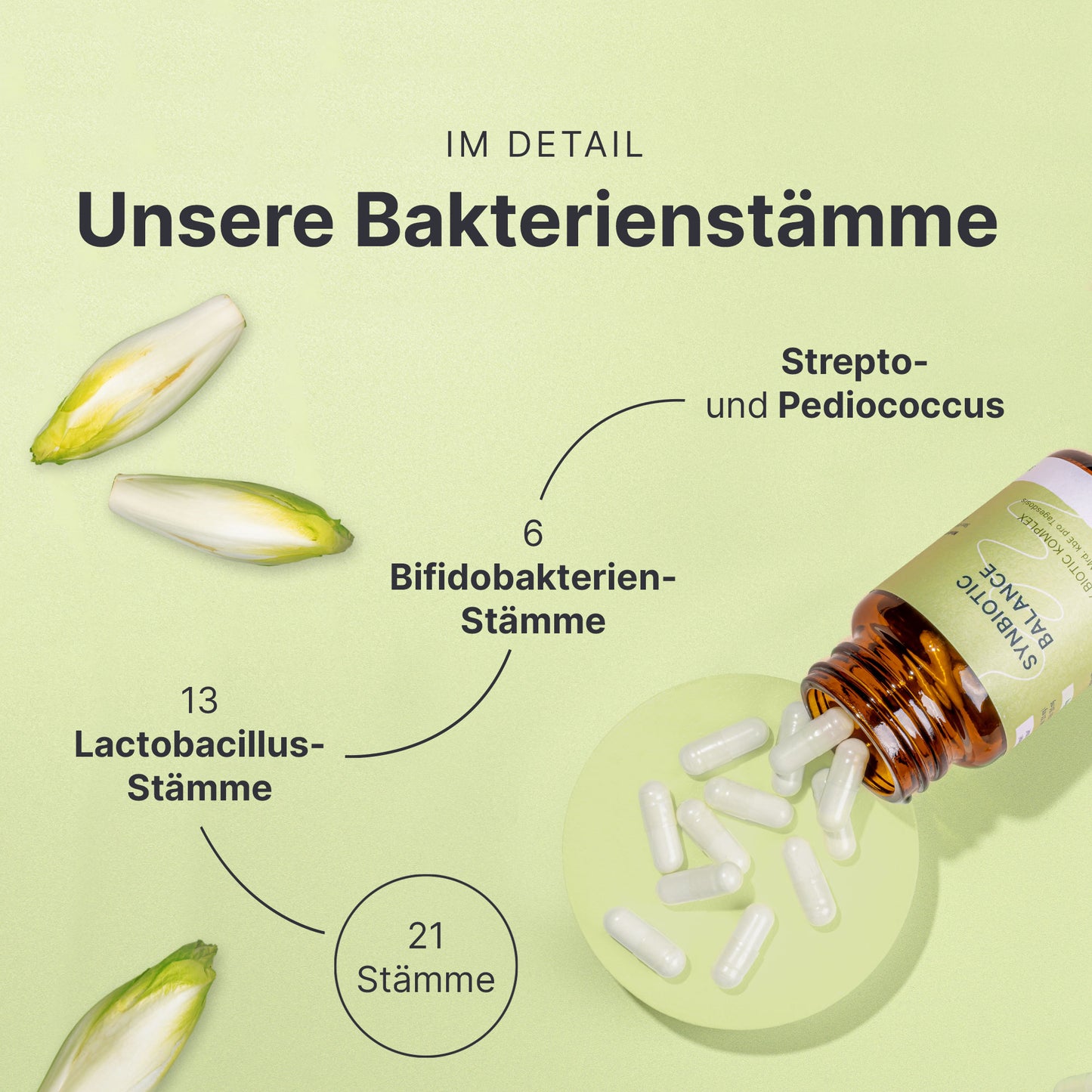 Synbiotic Balance Bakterienstämme