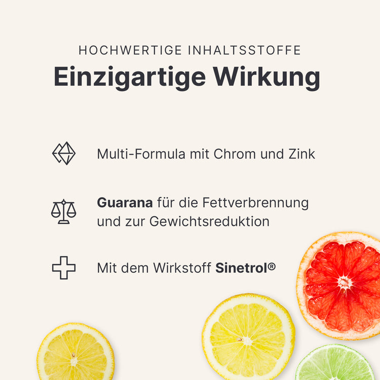 Fettstoffwechsel Komplex