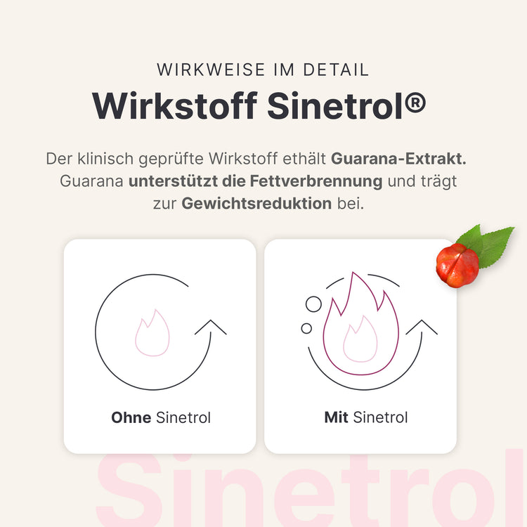 Fettstoffwechsel Komplex