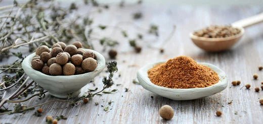 Stoffwechsel anregen - SHEKO