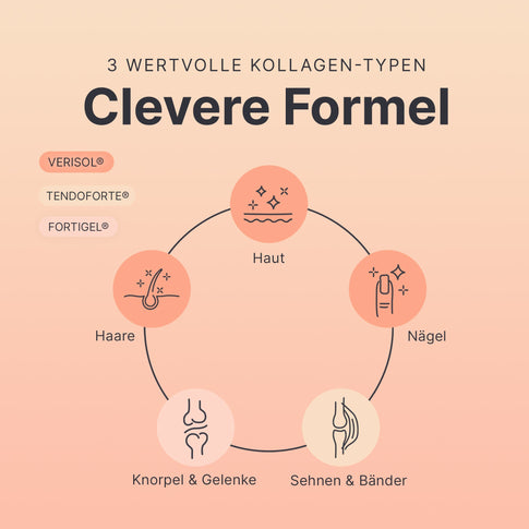 Abnehmen + Kollagen