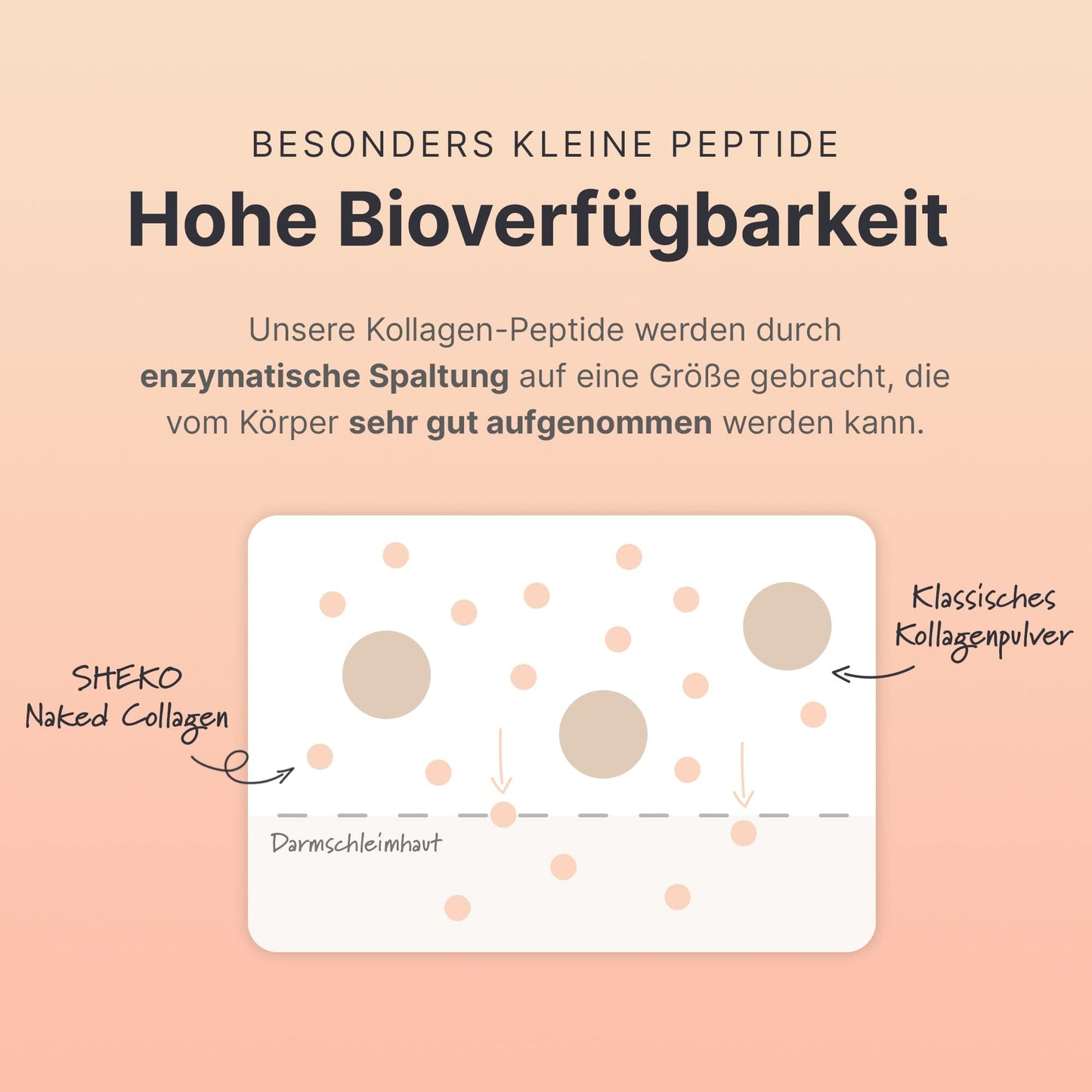 Abnehmen + Kollagen