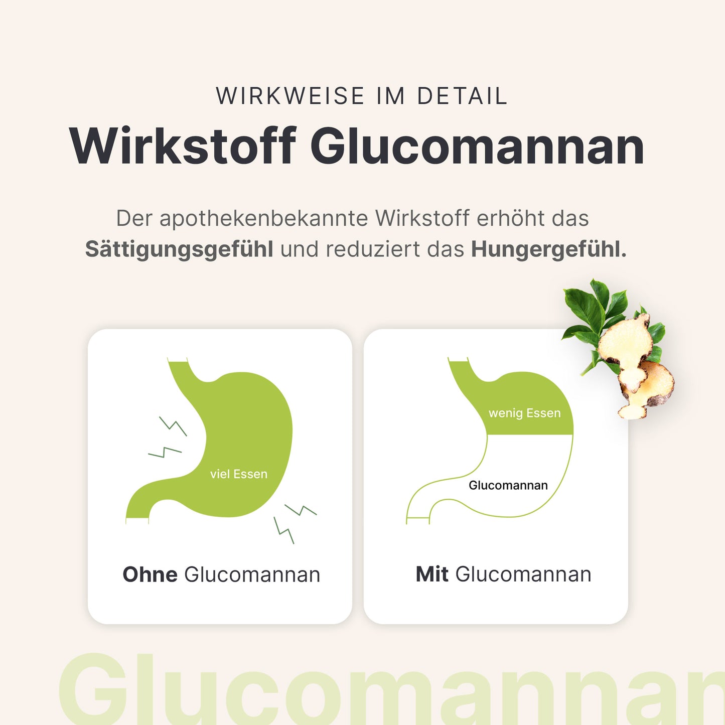 Die Wirkung von Glucomannan