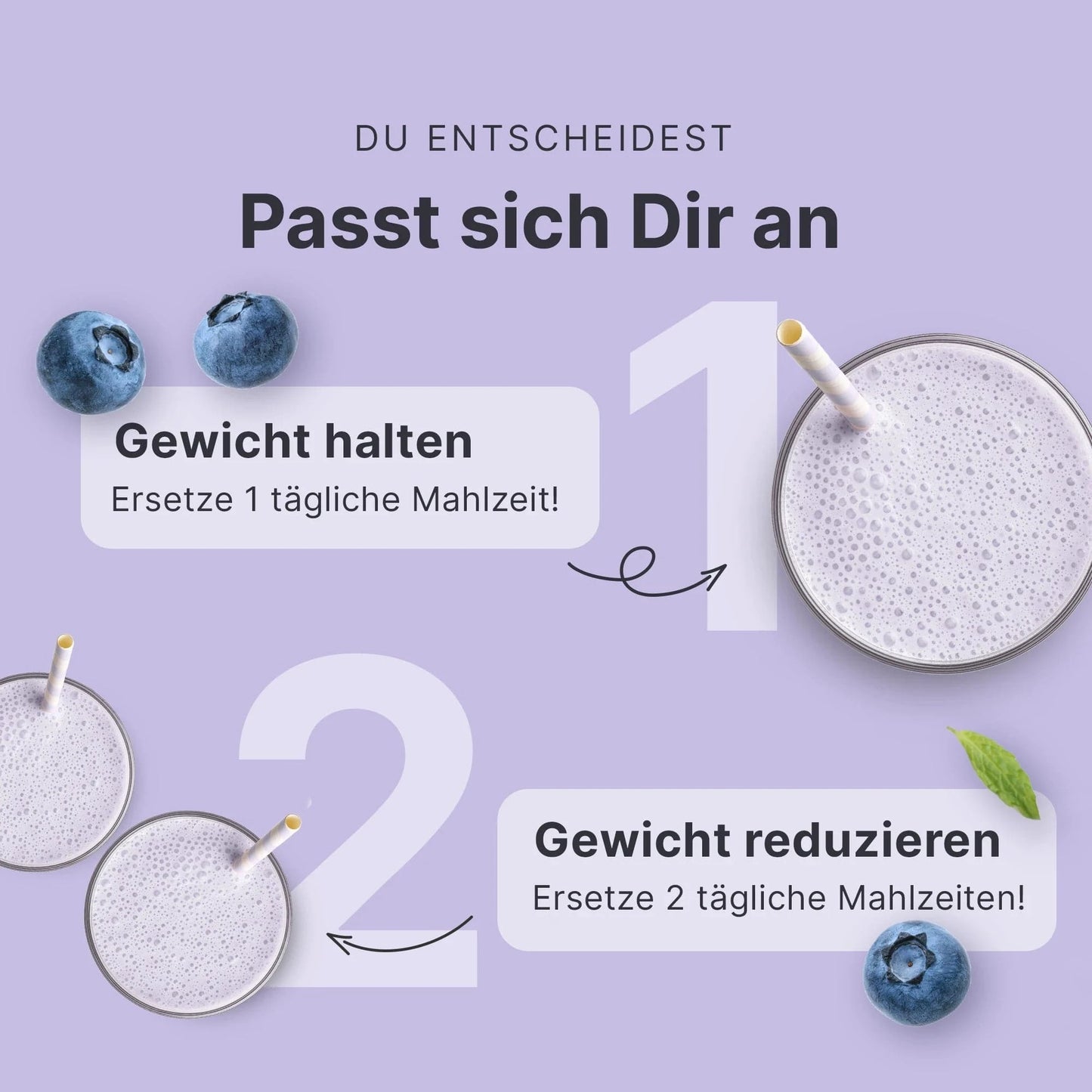 Balance Shake Blaubeer Muffin