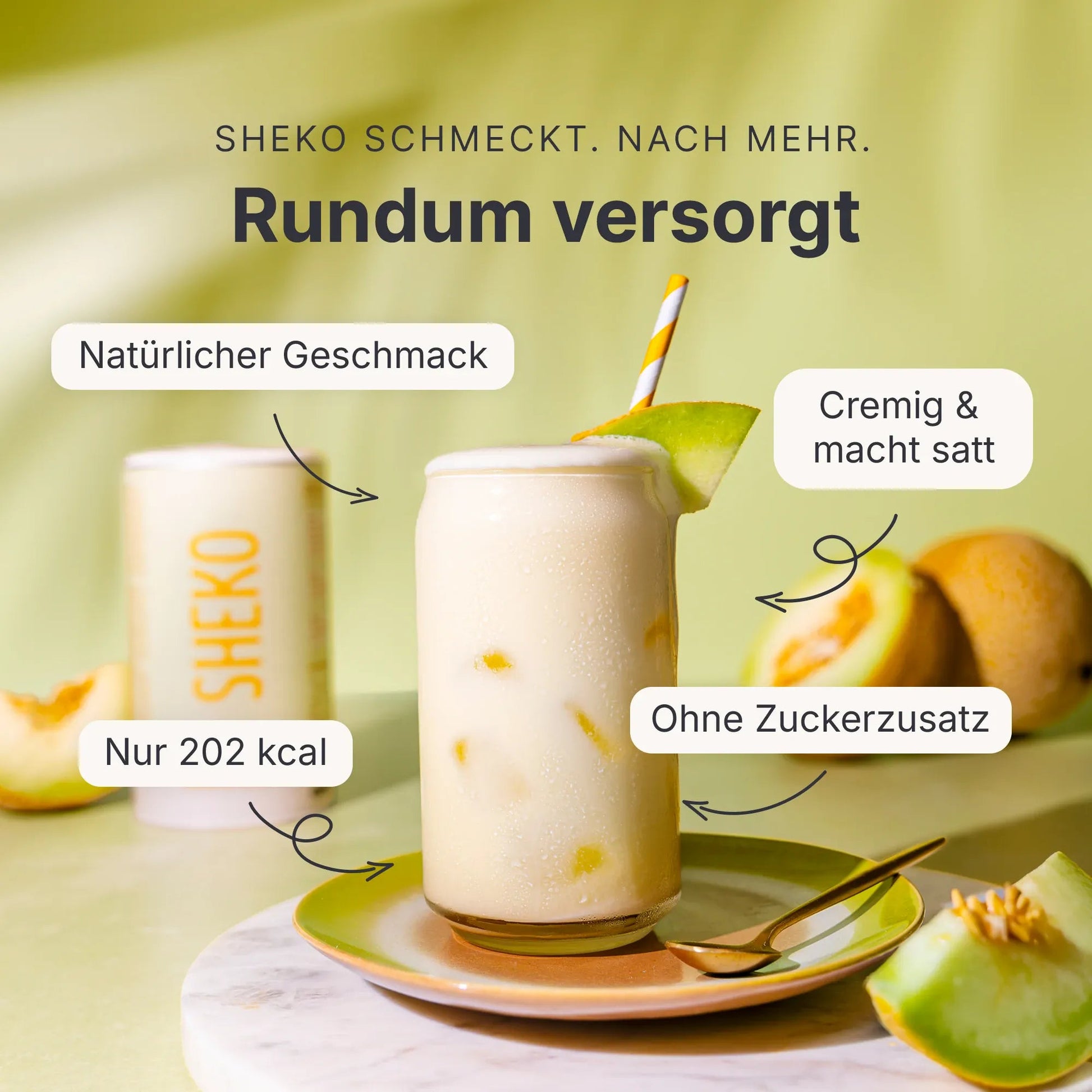 Balance Shake Honigmelone