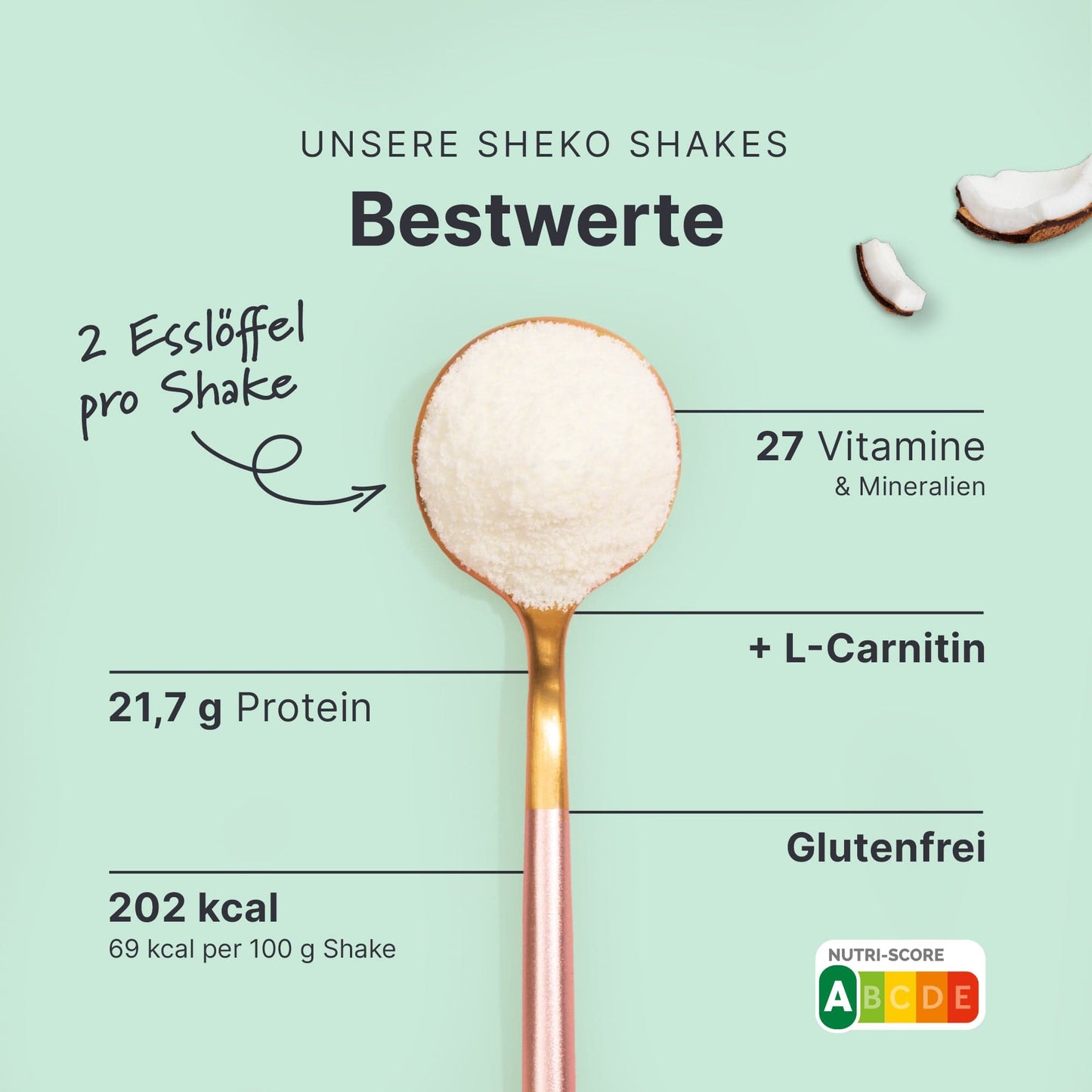 Balance Shake Kokos