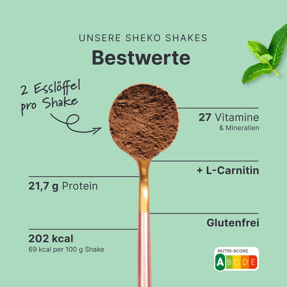 Balance Shake Schoko-Minze