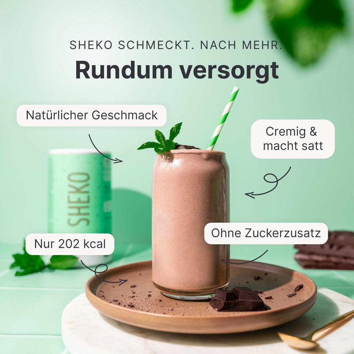 Balance Shake Schoko-Minze