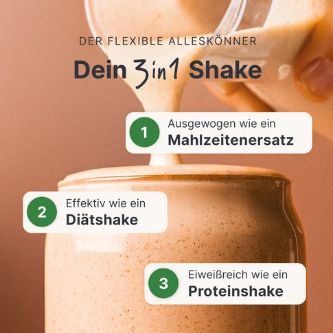 Balance Shake Vegan Zimt