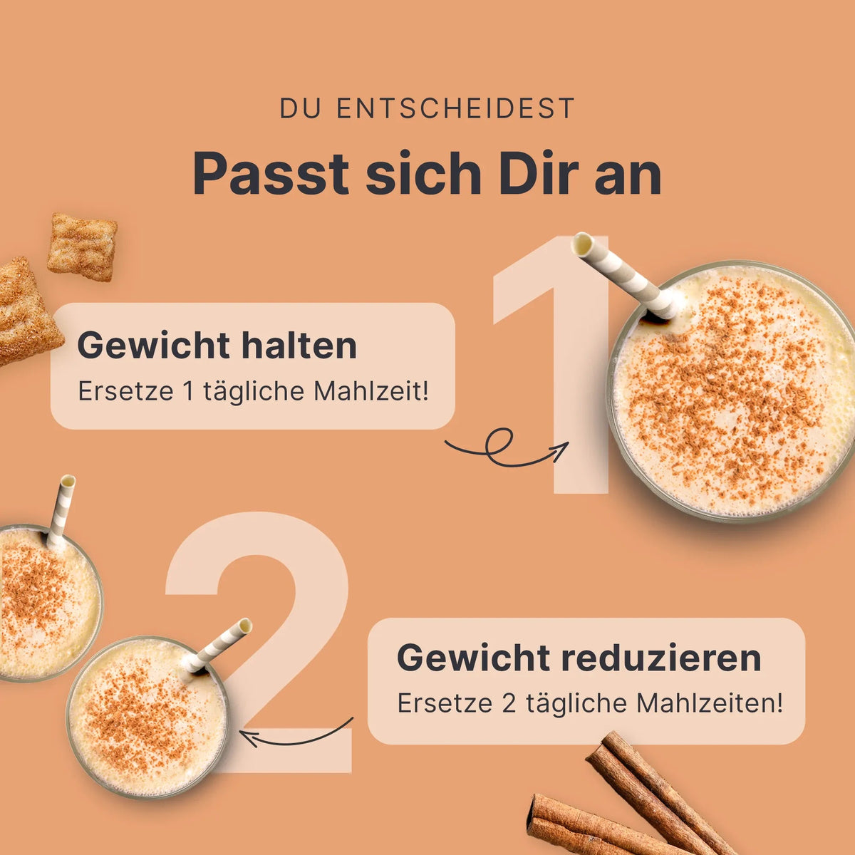 Balance Shake Zimt-Milch