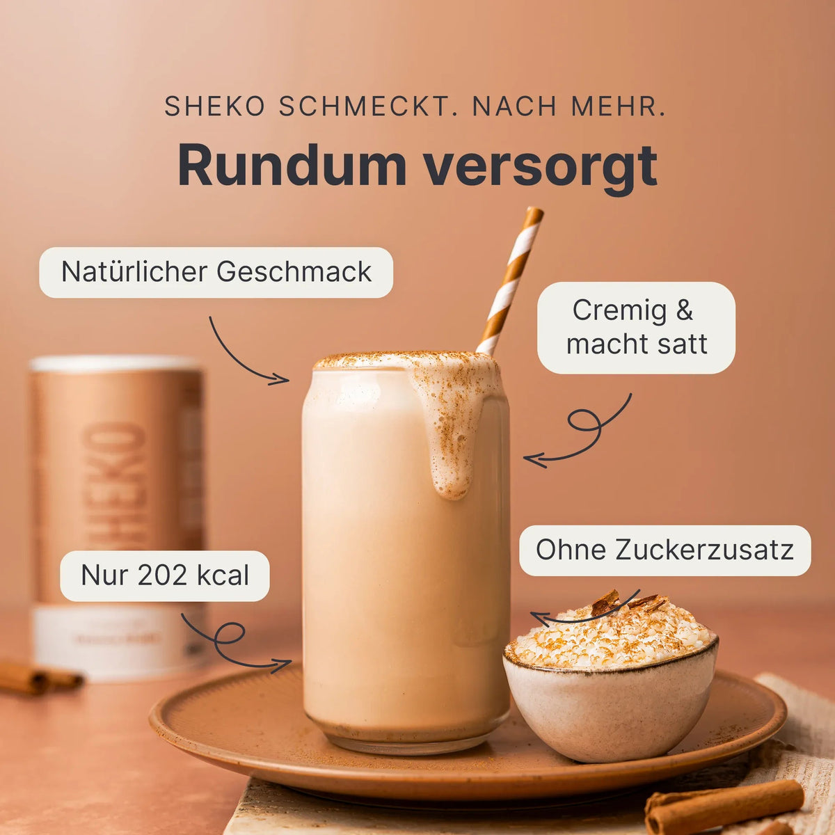 Balance Shake Zimt-Milch
