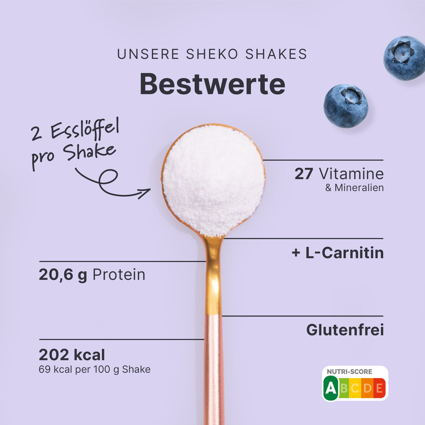 Shakemahlzeit Blaubeere (360g)