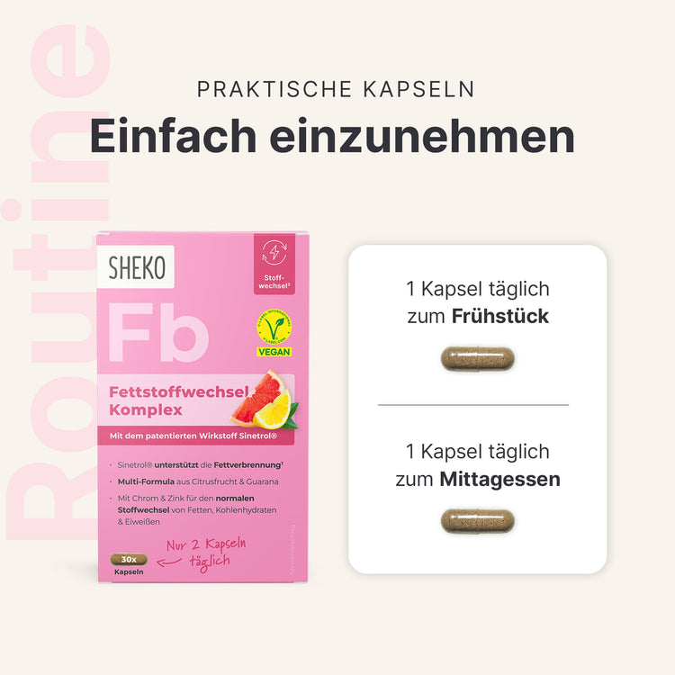 Fettstoffwechsel Komplex