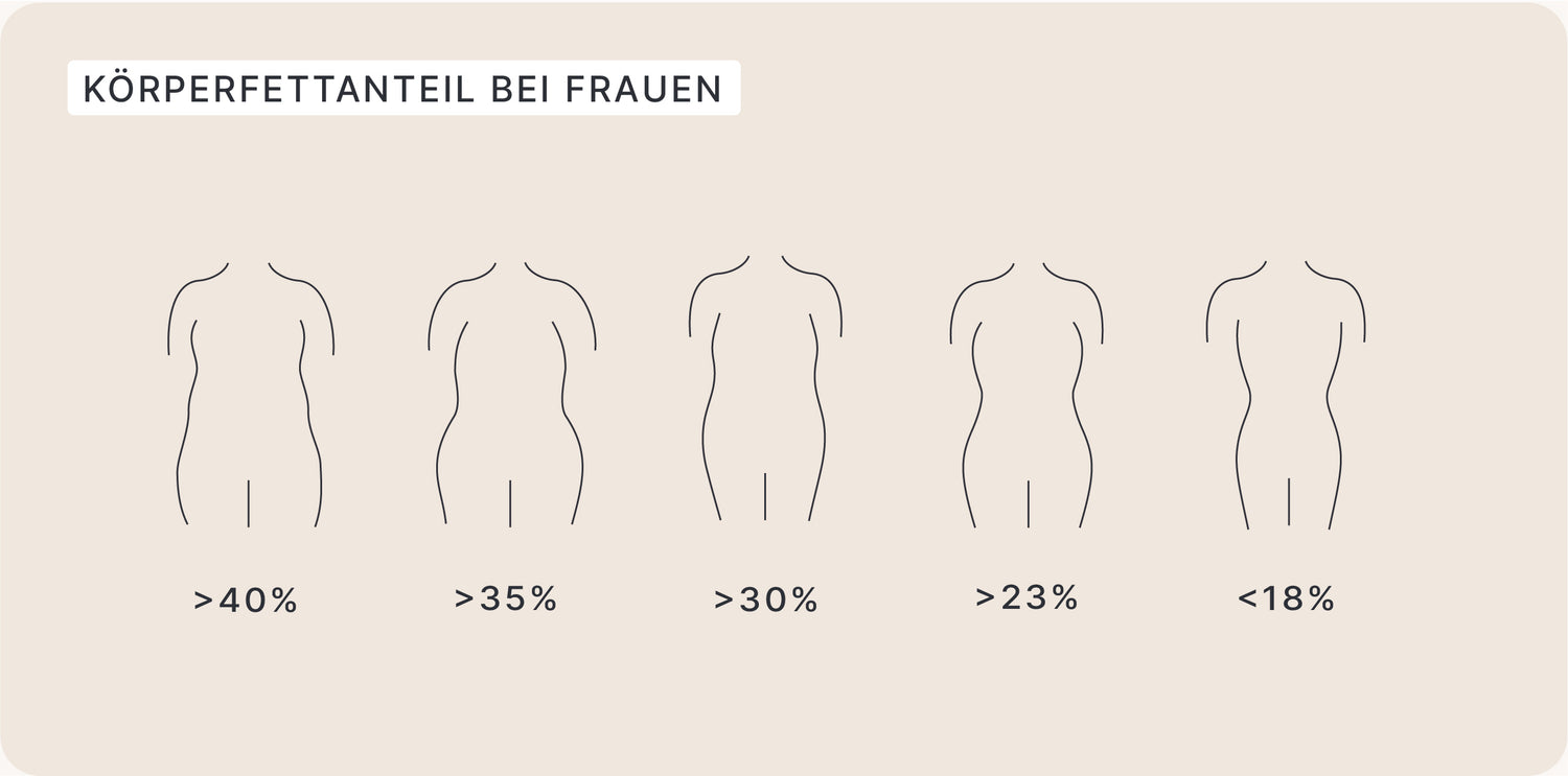 Grafik: Körperfettanteil bei Frauen von >40% bis <18%