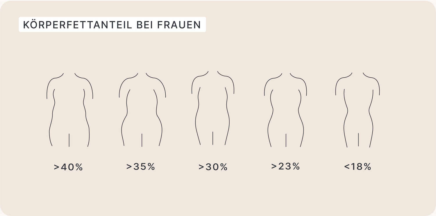 K rperfettanteil So Viel K rperfett Ist Gesund SHEKO Guide k-rperfettanteil-so-viel-k-rperfett-ist-gesund-sheko-guide