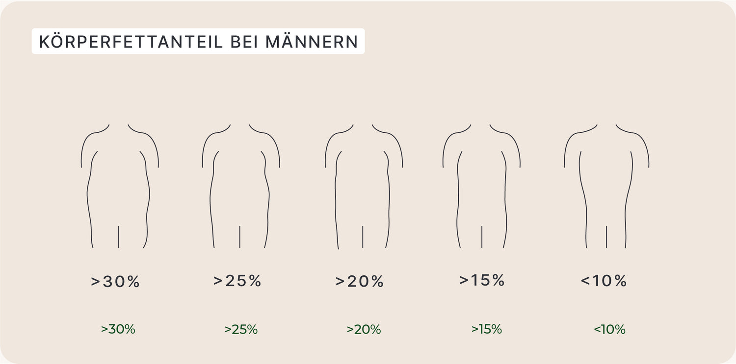 K rperfettanteil So Viel K rperfett Ist Gesund SHEKO Guide k-rperfettanteil-so-viel-k-rperfett-ist-gesund-sheko-guide