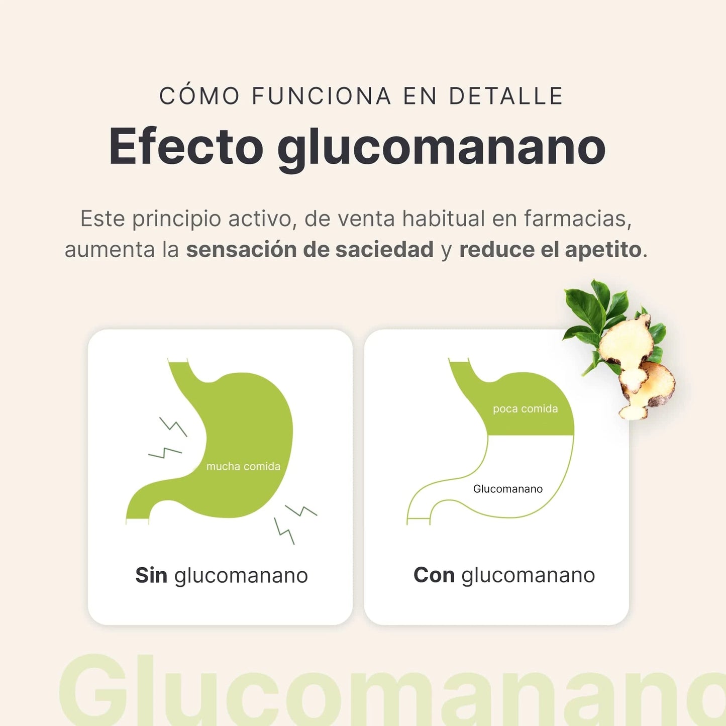 Set de Iniciación 4 Semanas