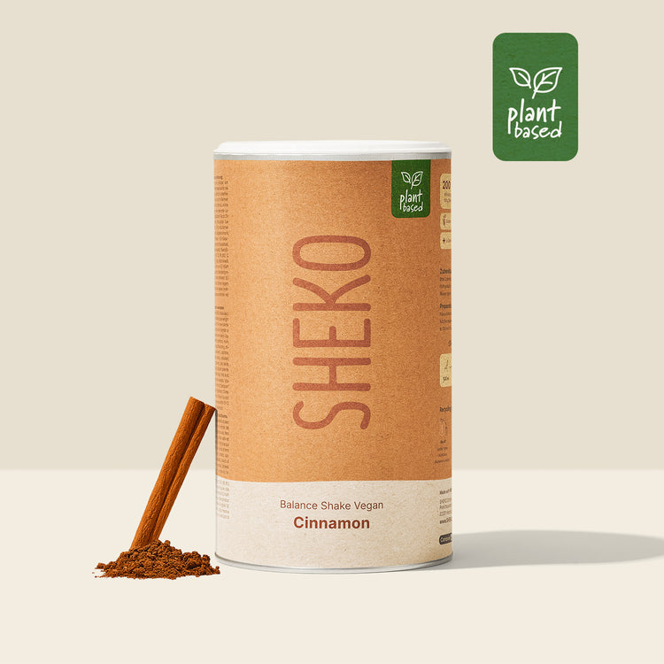 SHKEO Shake vegan Zimt