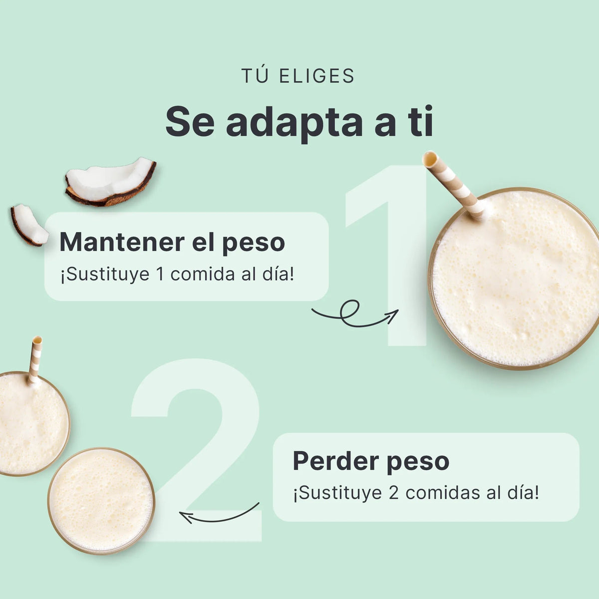 SHEKO Balance Shake Kokos (ES)