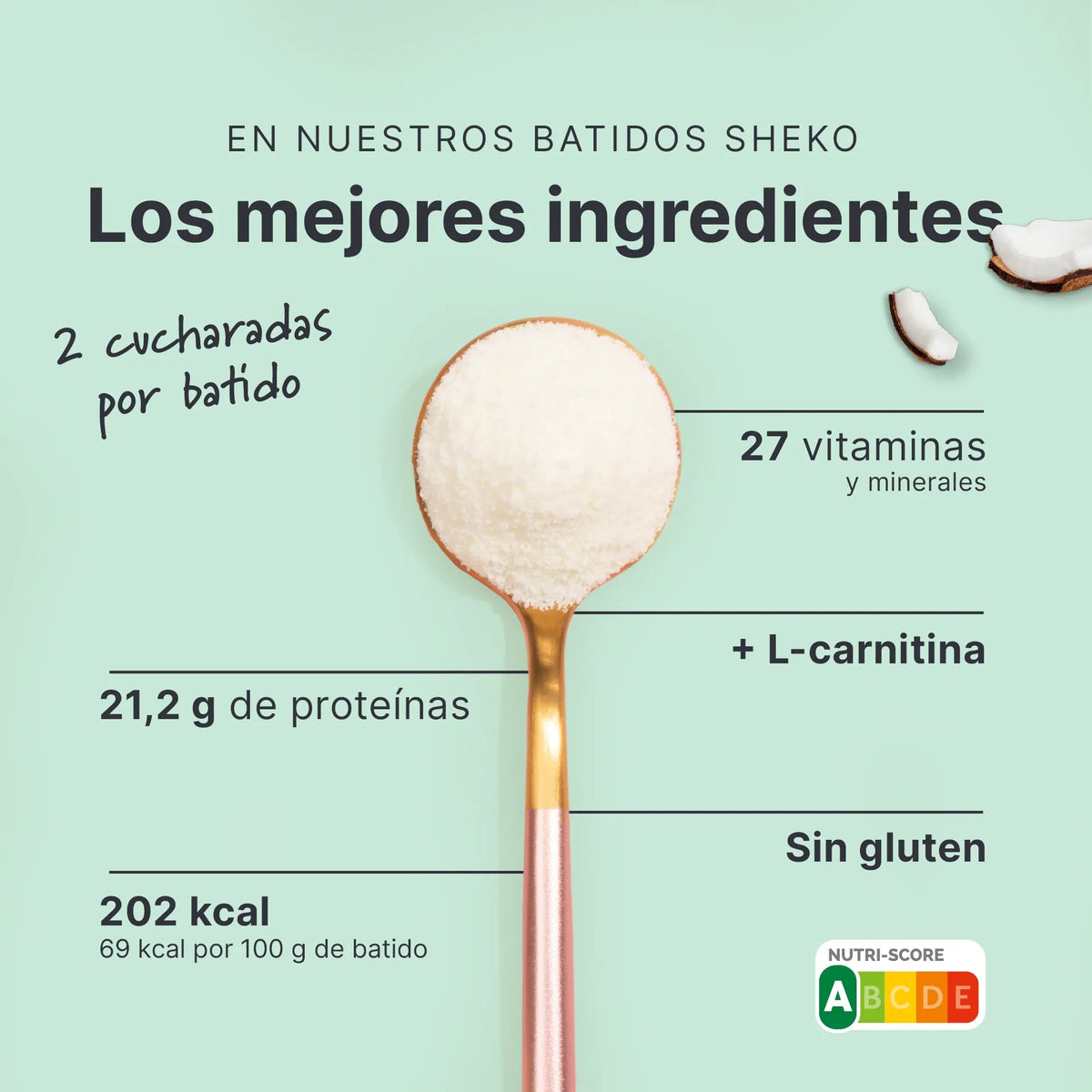 SHEKO Balance Shake Kokos (ES)