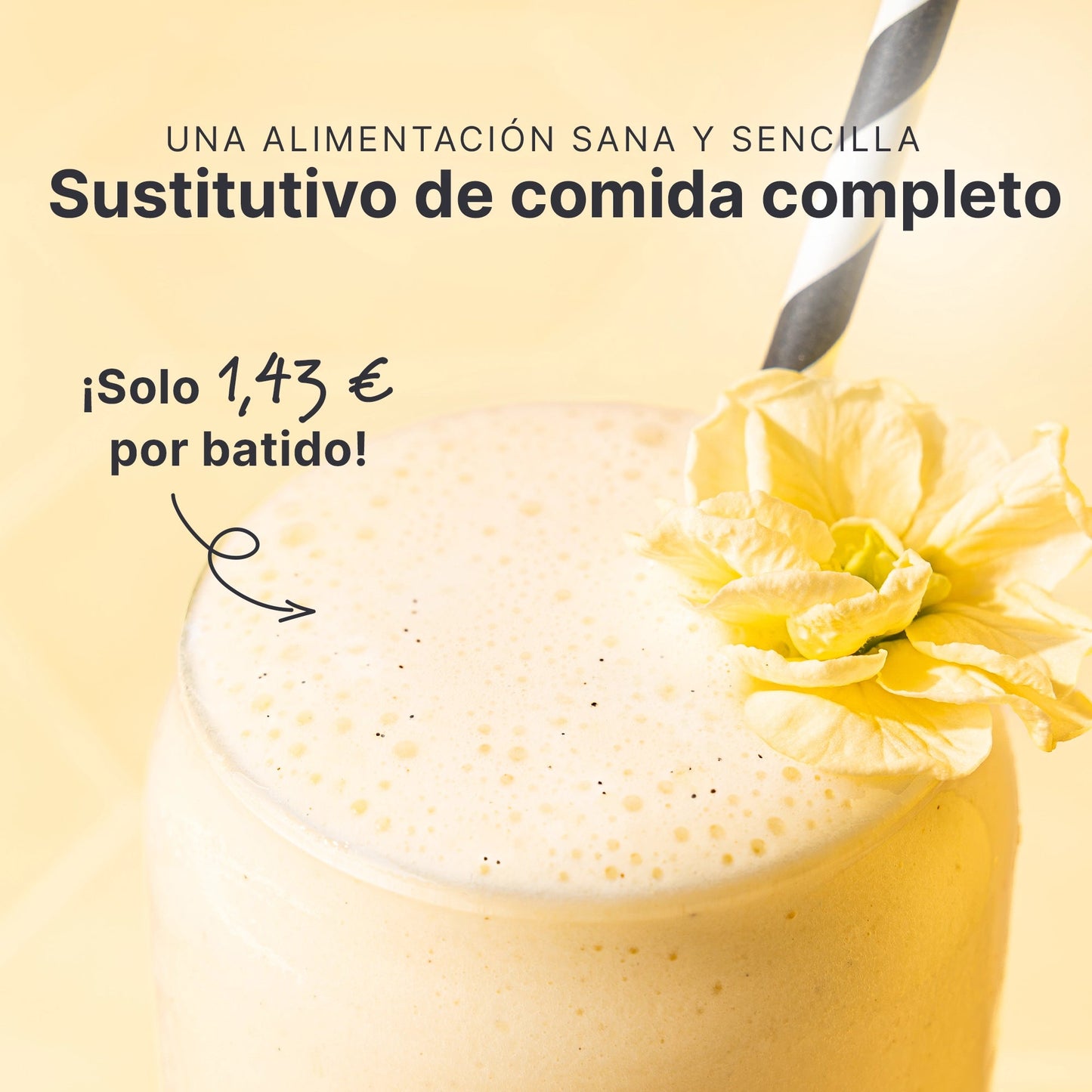 SHEKO Balance Shake Vanille (ES)