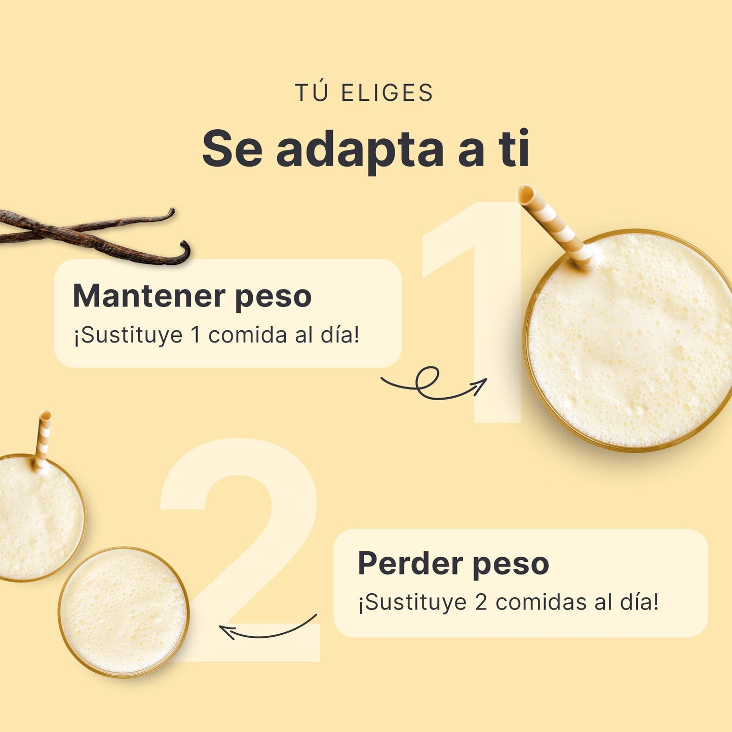 SHEKO Balance Shake Vanille (ES)