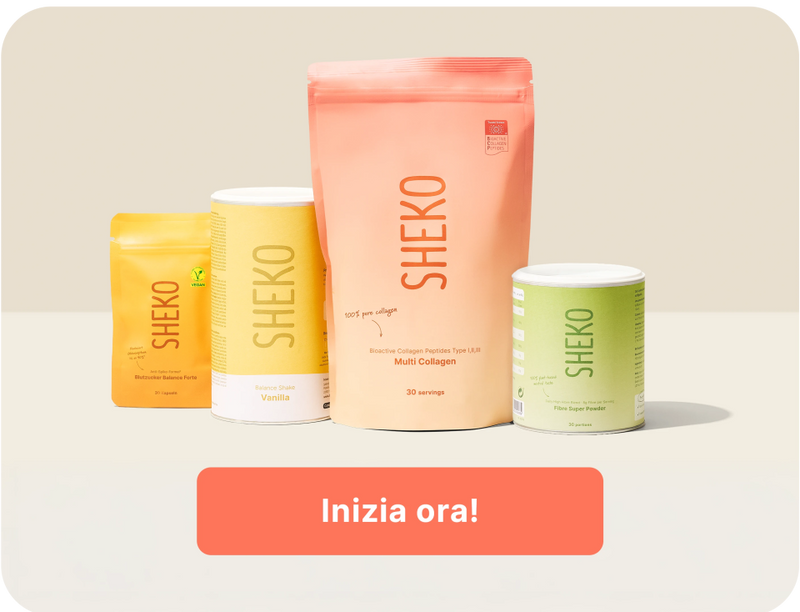 Il concetto SHEKO