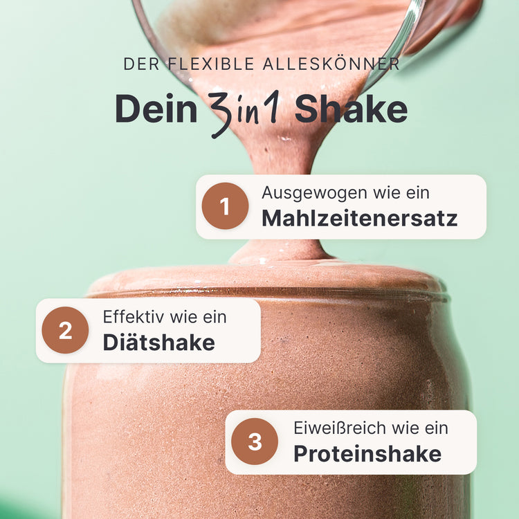 Balance Shake Schoko-Minze