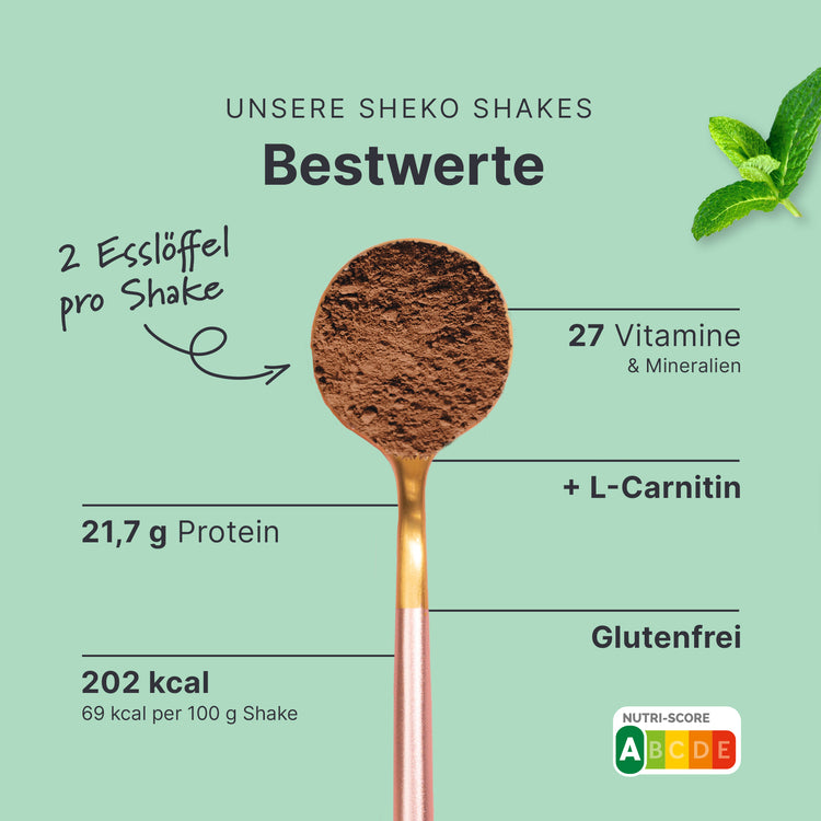Balance Shake Schoko-Minze
