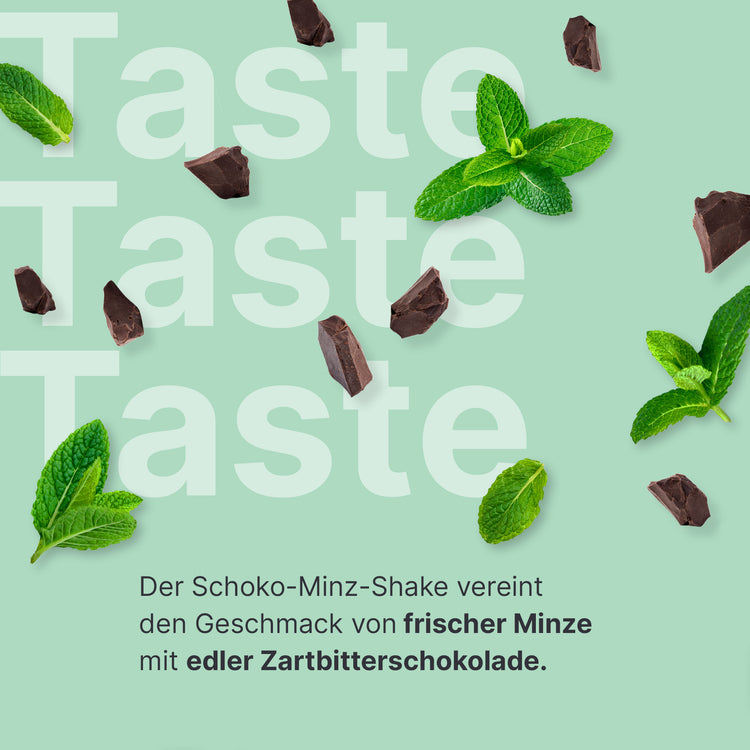 Balance Shake Schoko-Minze