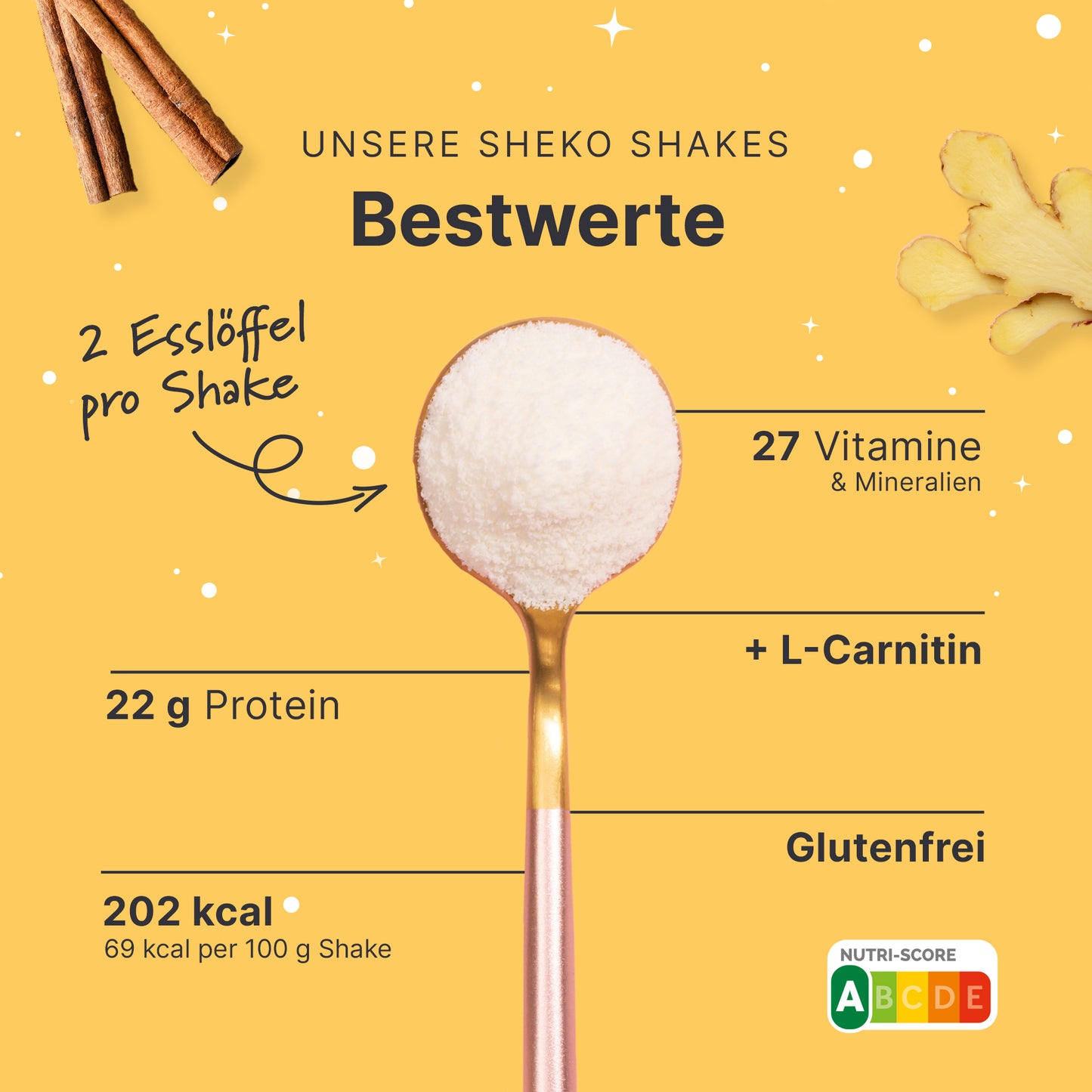 Shake sostitutivo del pasto alla Winterspice (360 gr)