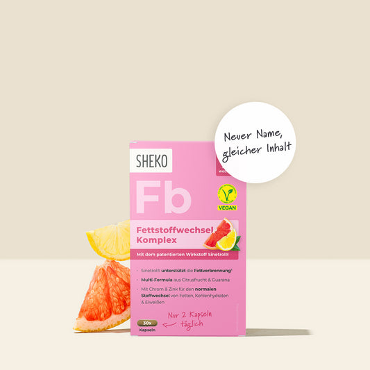 Fettstoffwechsel Komplex