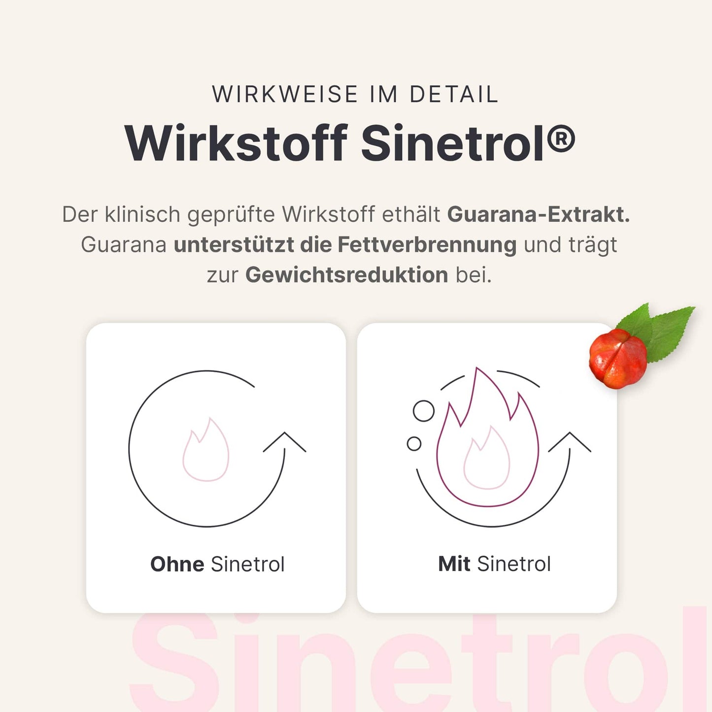 Fettstoffwechsel Komplex