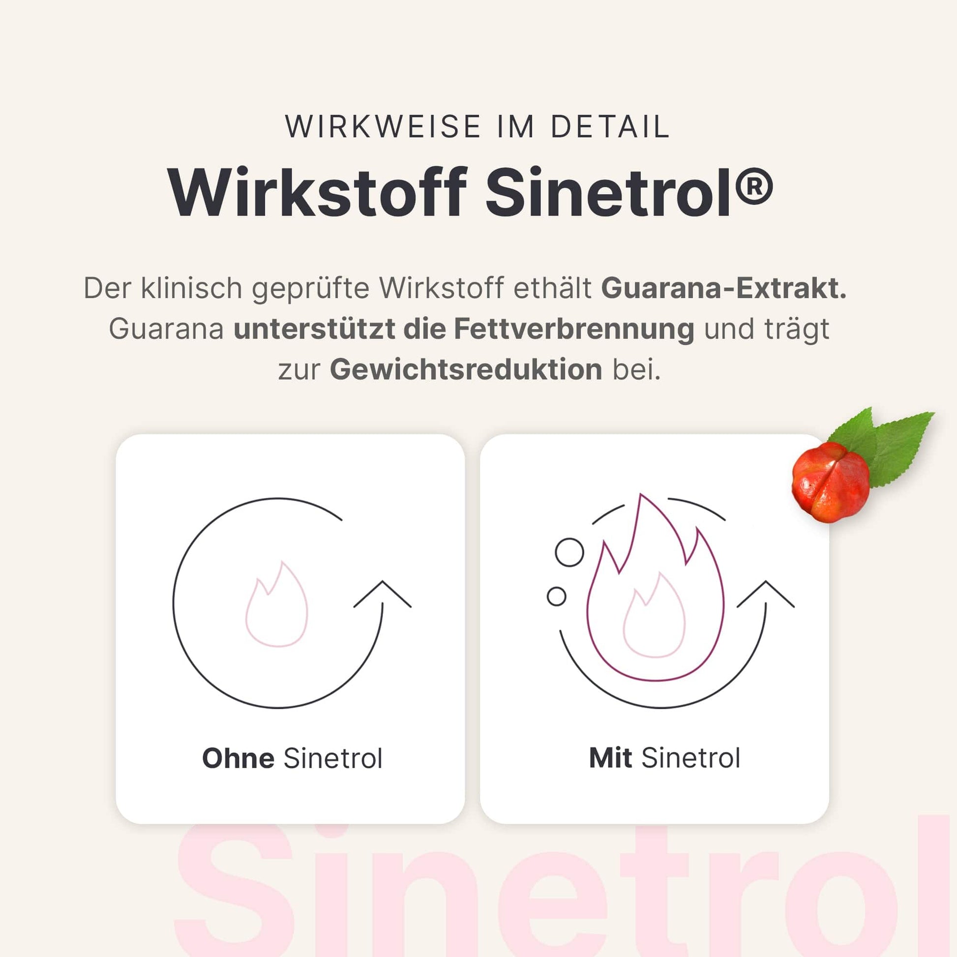 Fettstoffwechsel Komplex